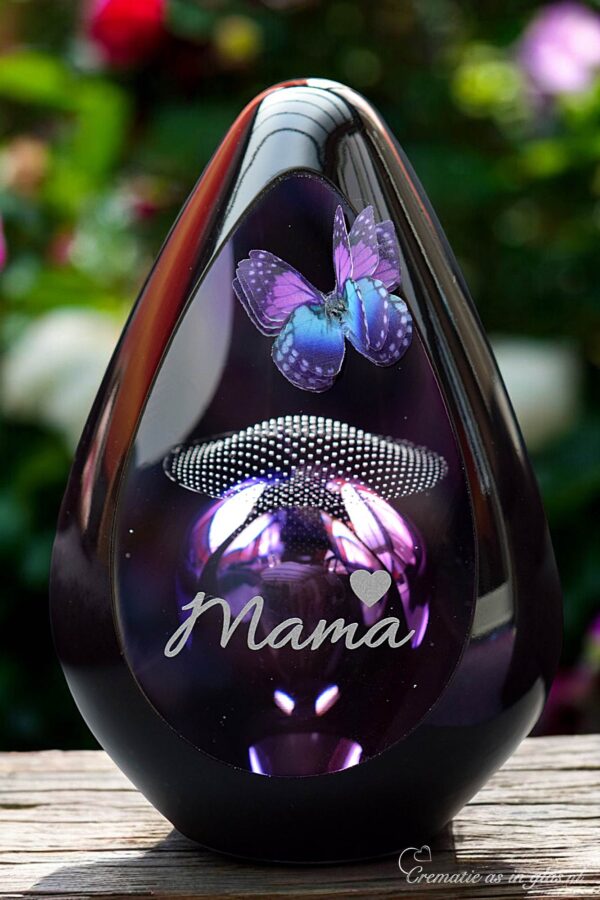 DGU1011 | Design Urn glass Pandora - Image 2