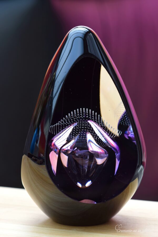 DGU1011 | Design Urn glass Pandora - Image 4