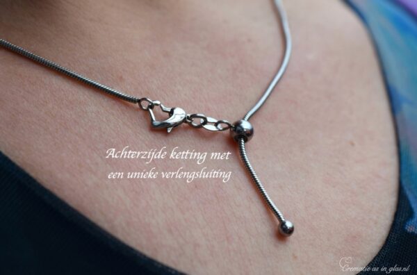 DSH4004 | Dames halssieraad met crematie-as of haartjes - Imagen 4