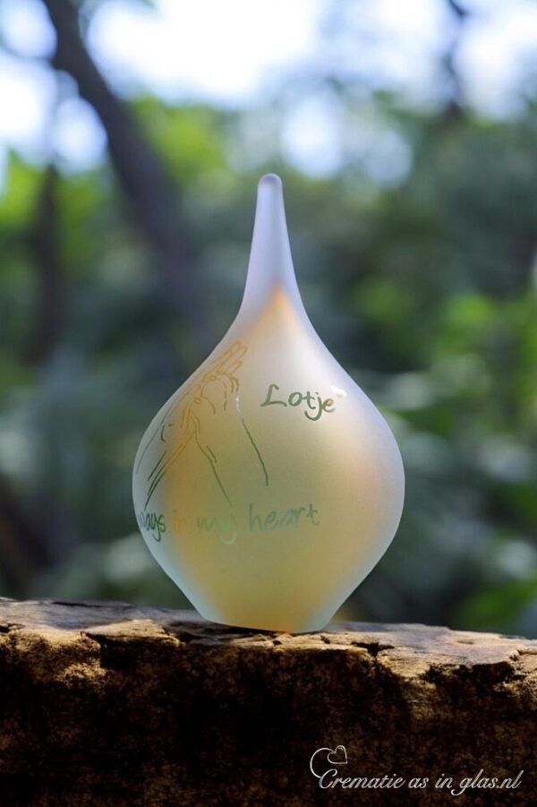 DRU7013 | Urn for animals