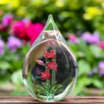 GU2023 | Orchidee triefende Urne