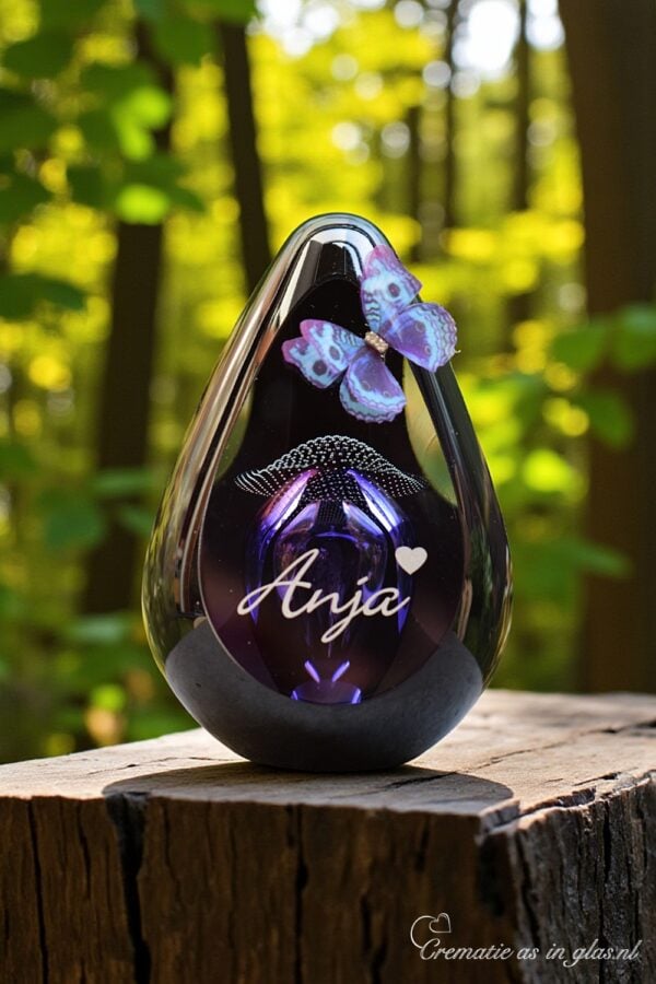 DGU1049 | Design Urn  glas Pandora